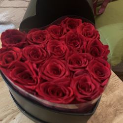 Perserved Roses  Last 1 Year