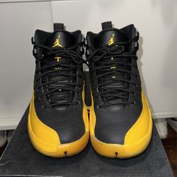 Air Jordan 12 Retro