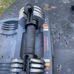 Adjustable Weights 