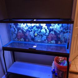 55 Gallon With All Accessories 