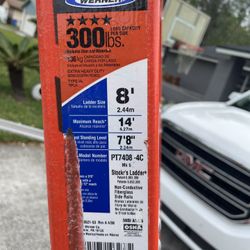Werner Ladder Holds 300lbs