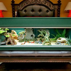 Showcase Reptile Enclosure 4ft×2ft×1.5ft