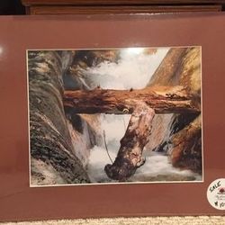 Nature Photographs that are matted