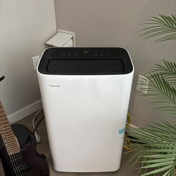 Toshiba AC unit