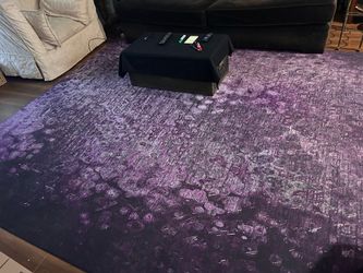 Indoor/Outdoor 8 x 10 Rug