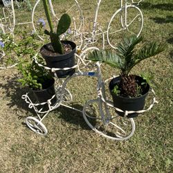 Iron Bicycle Planter 