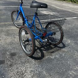 3 Wheel Bike