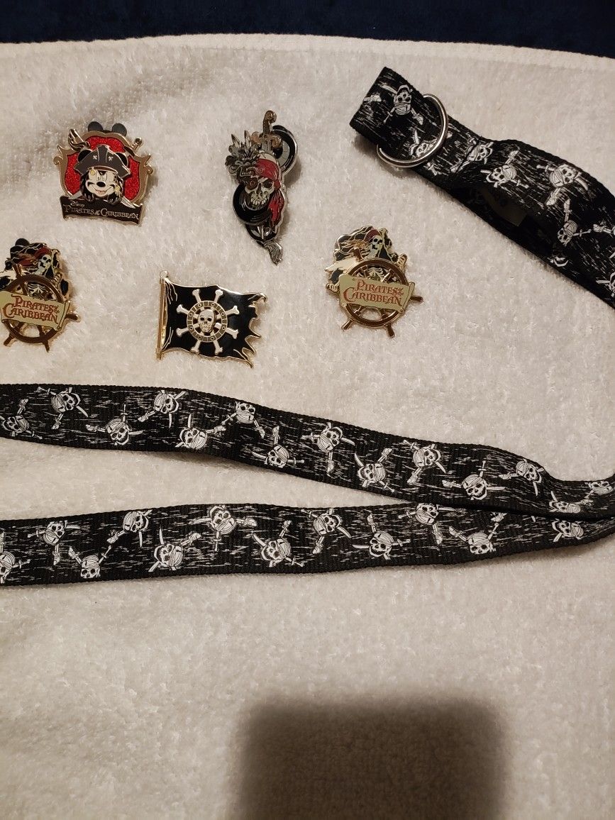 Disney Trading Pins.