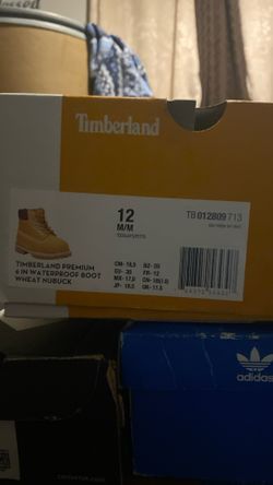 2 Toddlers Timberland Boots 