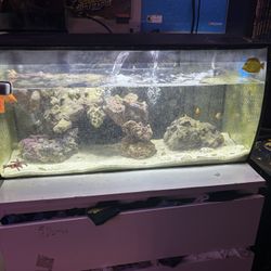 Used Saltwater Aquarium 36.5 Gallons 