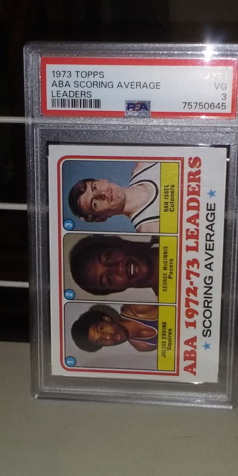 1973 aba Leaders