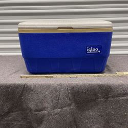 Igloo cooler 25qt