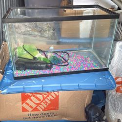 Fish Tank