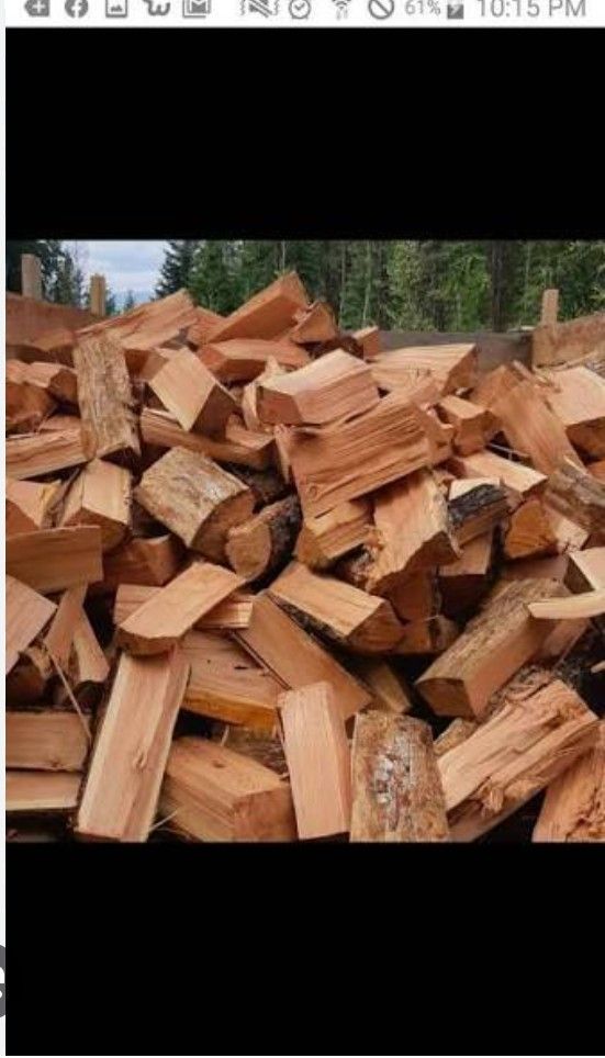 fir, hemlock, pine, oak, cedar