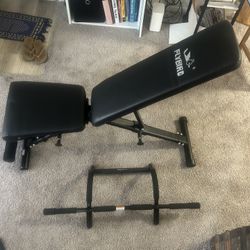 Exercise Bench & Pull Up Bar