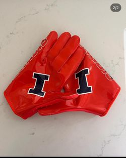 Illinois college Gloves Xl