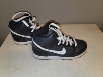 Nike Dunk Hi (PS)