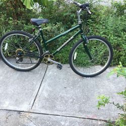 Road Master Bicycle