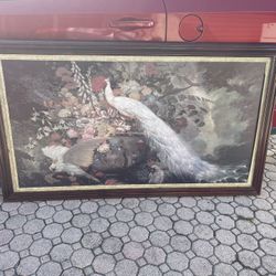 Vintage Classical Garden Peacock Parrot Painting 66”1/2 W X 38”H In Good Condition. $80 Firm On Price