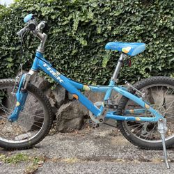 Kids Trek Bike