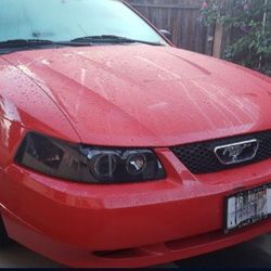 2004 Ford Mustang