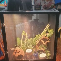 Chameleon Cage And Accessories 