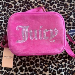Juicy Couture Purse
