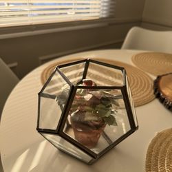 Geometric Glass Terrarium With Plant Inside