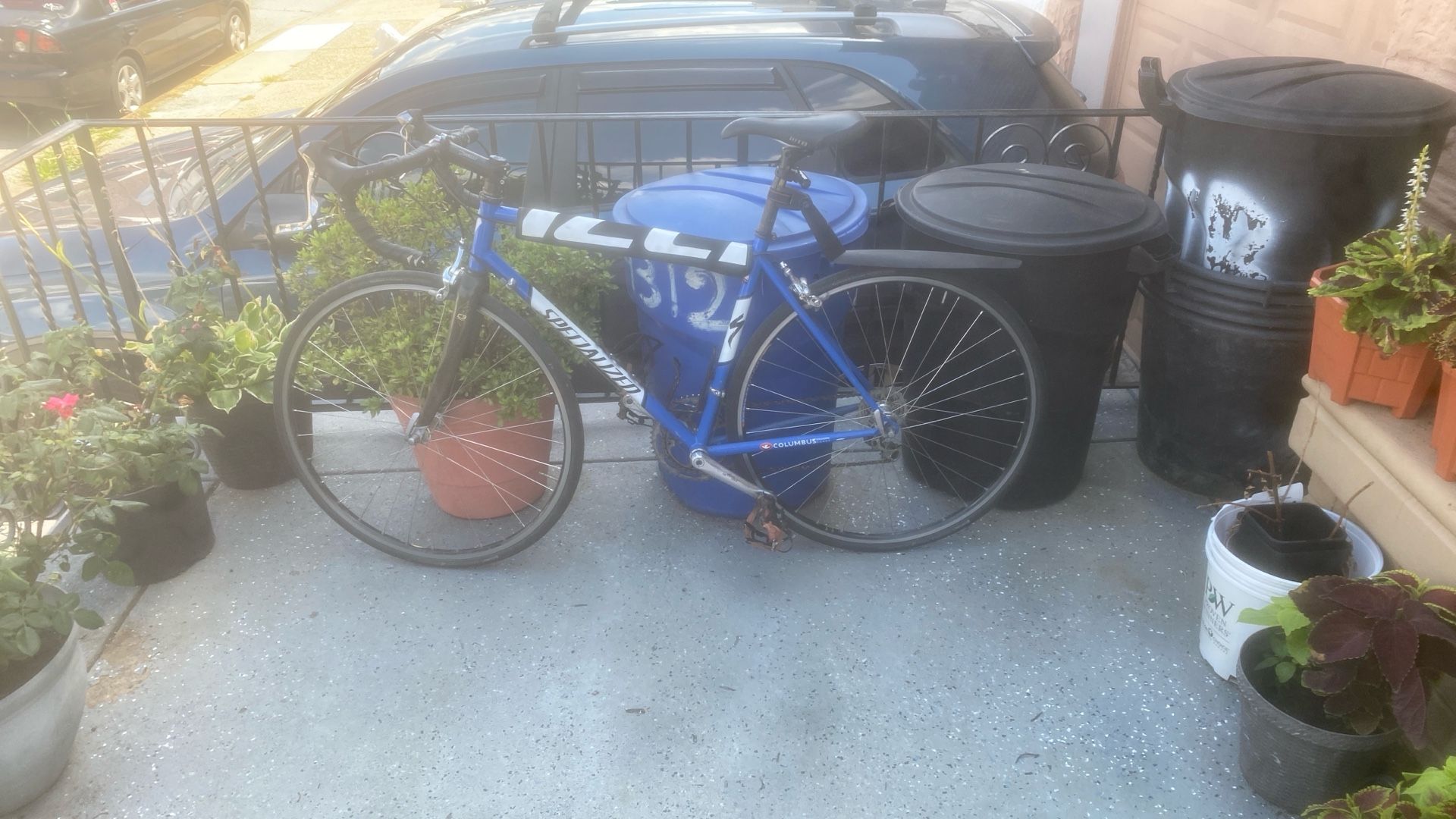 Specialized Racing Buy