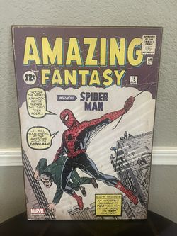 Spider-Man Wall Art