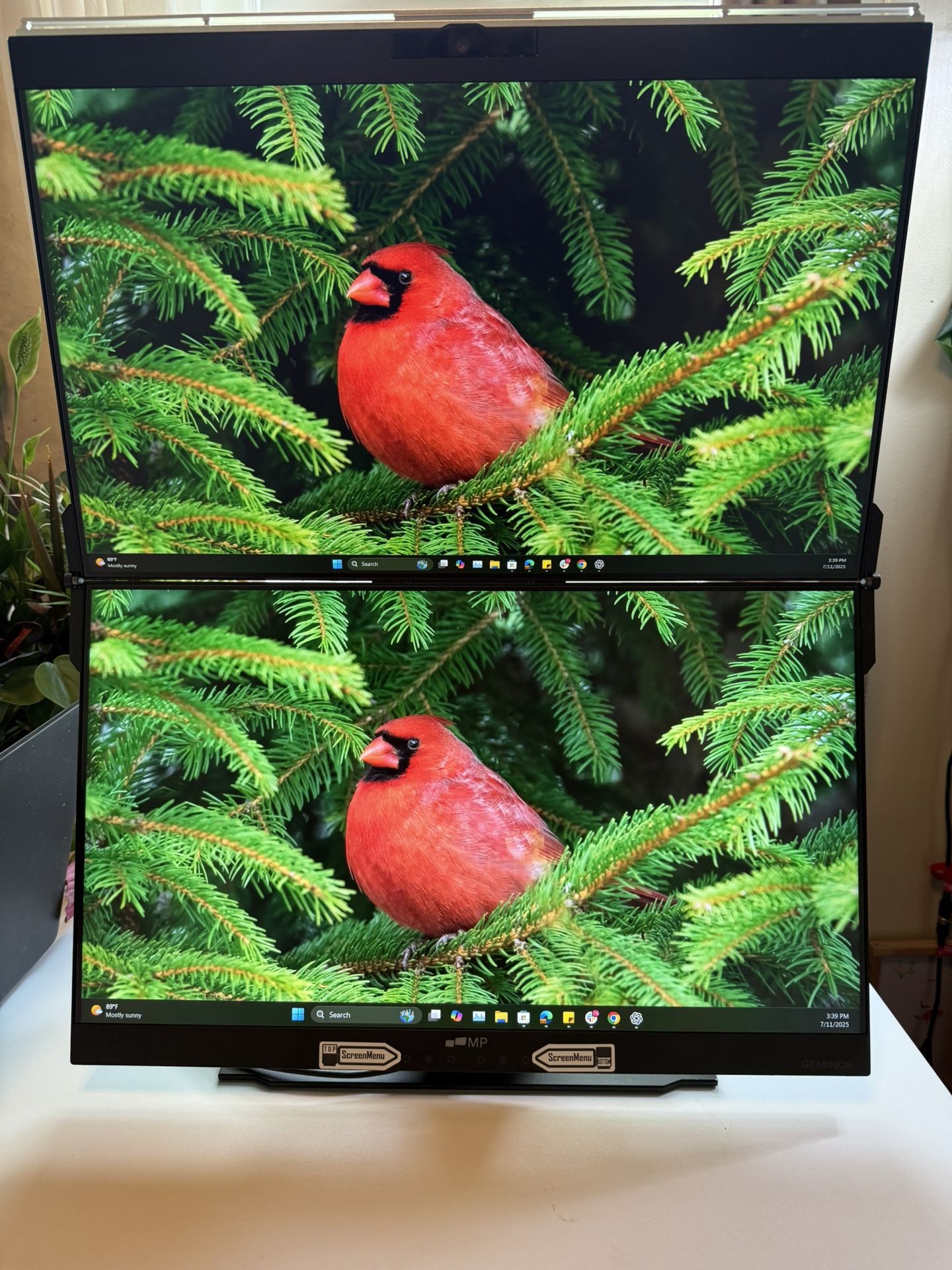 Geminos Dual 24inch Stacked Displays 
