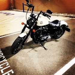 Harley Motorcycle 