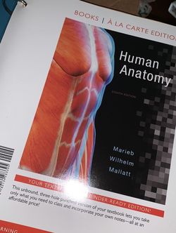 Human Anatomy Loose Leaf Book And Atlas