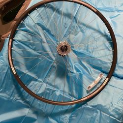 SPECIALIZED “Stout” 700c Rear Wheel w/ Singlespeed Conversion Kit (20-tooth)