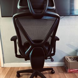 Office Chair - Dexley 