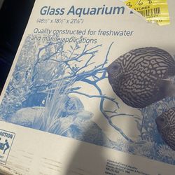 Aquarium and Filter