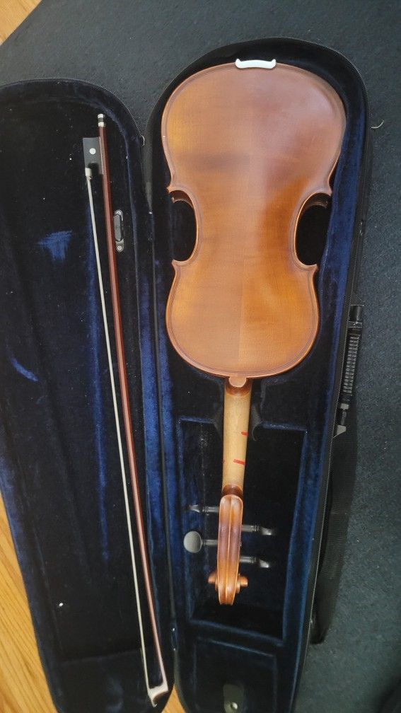 Violin