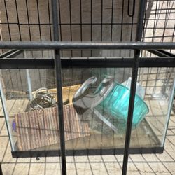 Fish Tank No Lid