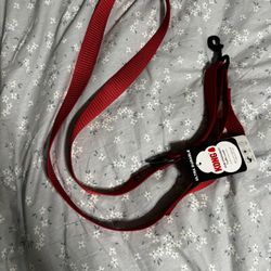 Red Kong Dog Leash 6 Ft