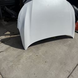 Hood Nissan Sentra 2020-2025