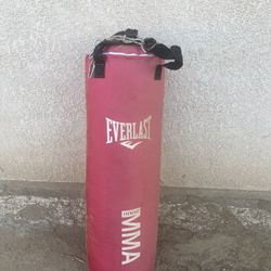 Punching Bag, Stand, And Speed bag 