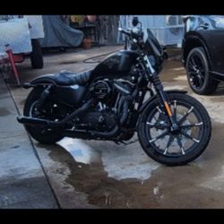 2016 Harley Davidson 883 Iron 6000 Miles Used Very Little , Looks And Runs Great 