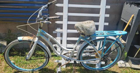 Womens Huffy Schwinn Beach Cruiser
