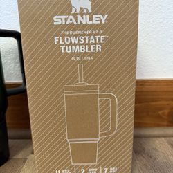 Wicked Stanley Cup 40 oz.