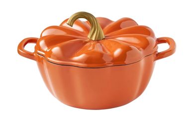 Viral Pumpkin pot NEW