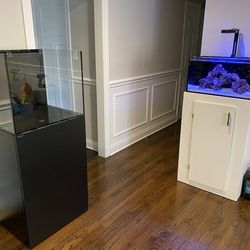 Rimless Fish Tank MARINE X 60.2 Waterbox Aquarium Reef Ready RR