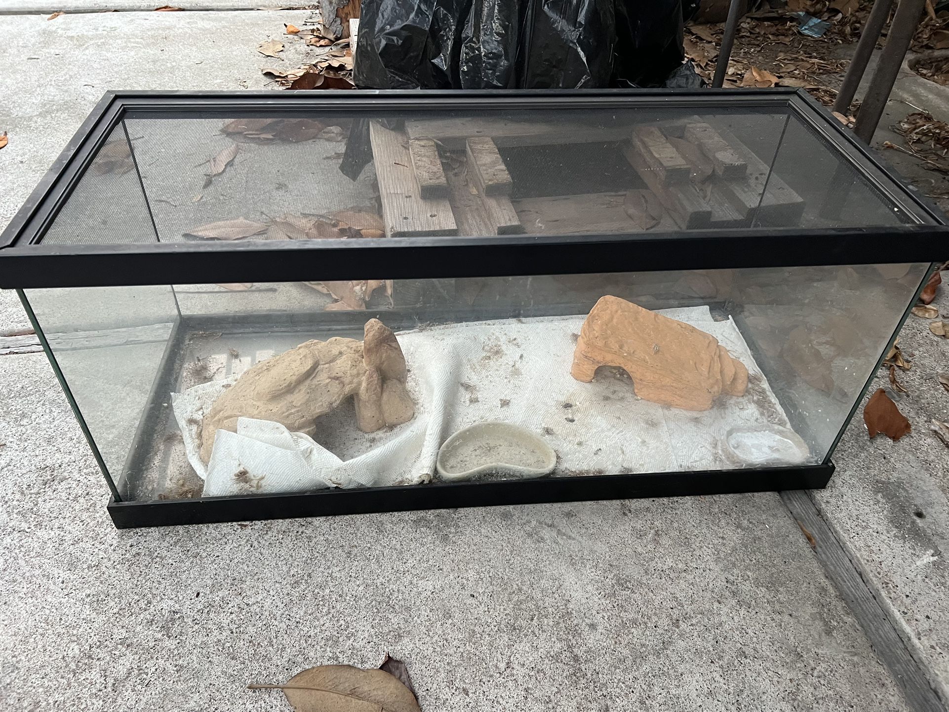 Two 20 Gallon Terrariums With Screen Tops