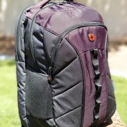 Swiss Gear Backpack 