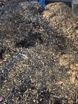Free Tree Mulch