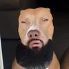 Louie 